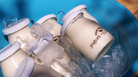 white cow dairy image
